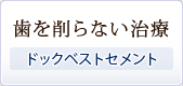 歯を削らない治療~ドックベストセメント~