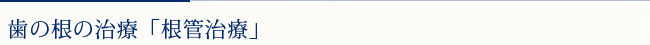 歯の根の治療「根管治療」